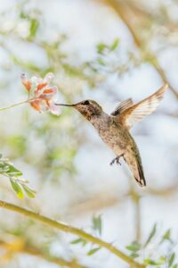 Photo by Mark Olsen on Unsplash